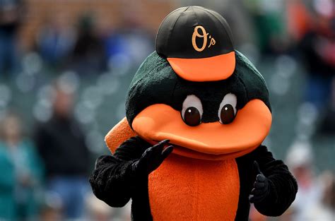 The Black Bird Mascot's Role in Rivalry Games: Igniting the Competitive Spirit